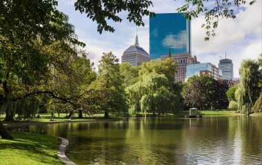 boston public gardens with skyline in the background
