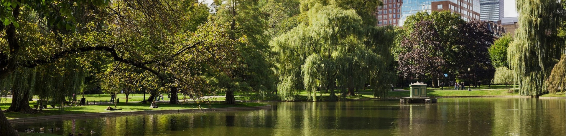 boston public gardens with skyline in the background