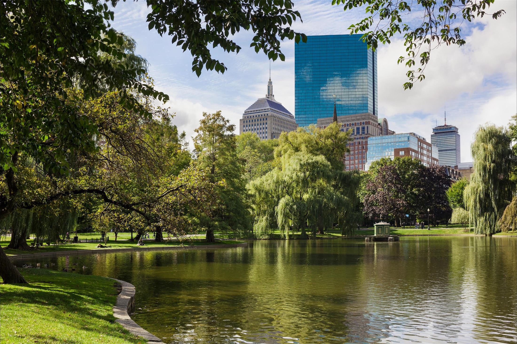 boston public gardens with skyline in the background