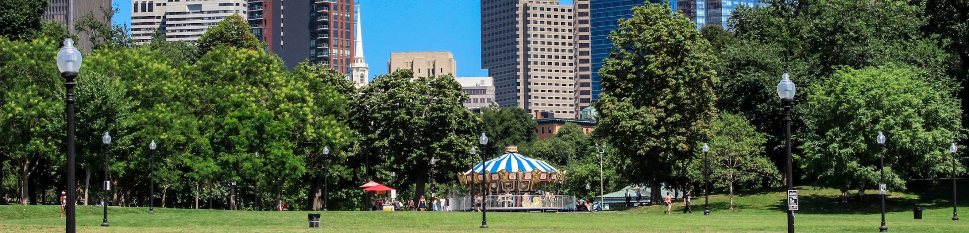 large park with city in the background