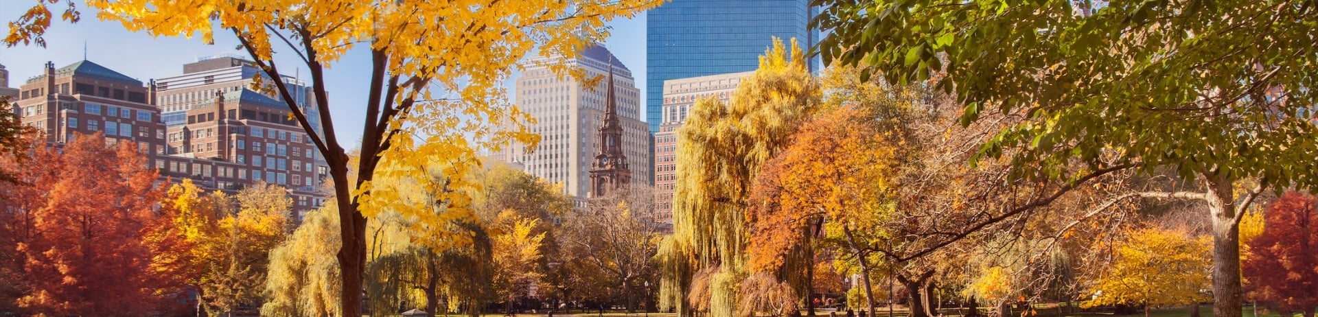park in the fall with the city in the background