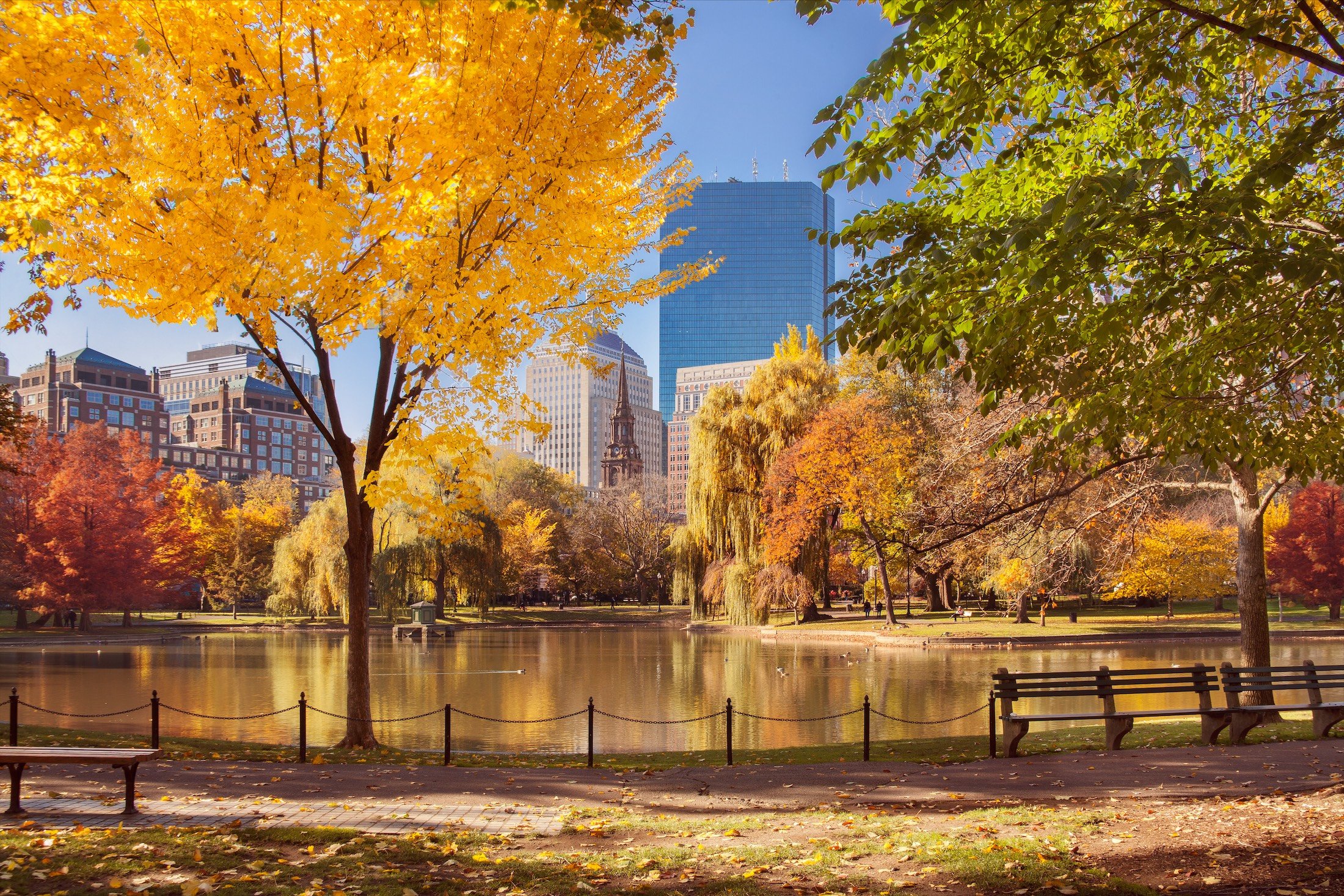 park in the fall with the city in the background